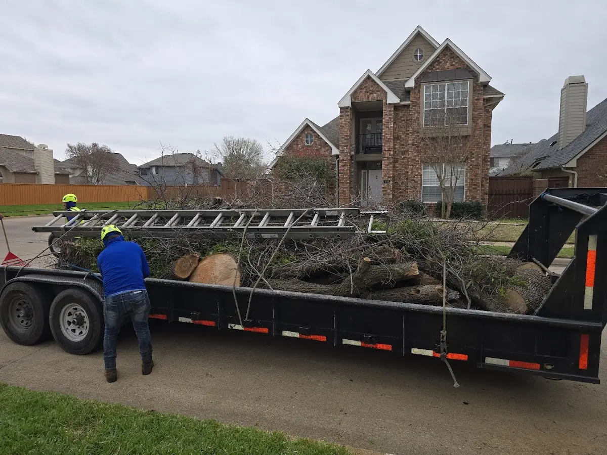Expert Tree Removal with proper safety equipment in Dunlap